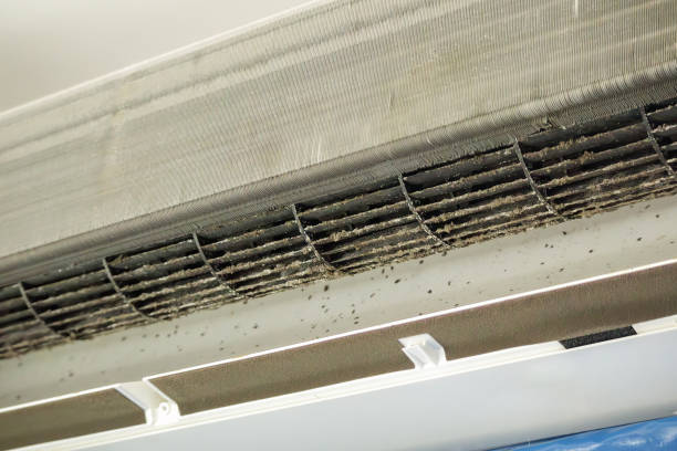 Best HVAC Air Duct Cleaning  in Chebanse, IL